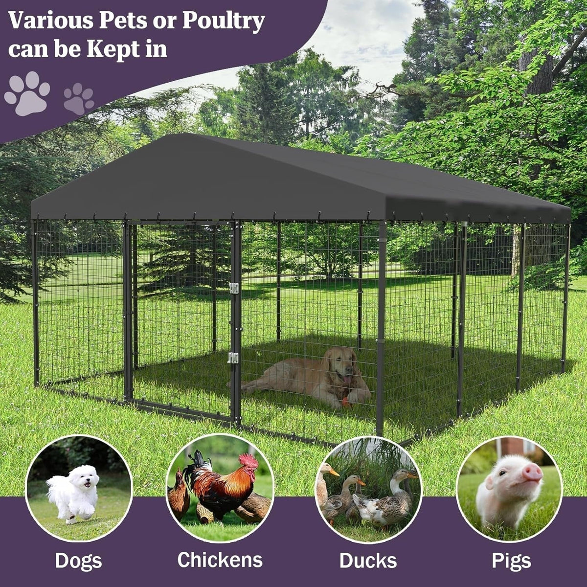 W 118 x D 118 x H 70 Large Outdoor Dog Kennel,Heavy Duty Dog Cage Enclosure with Waterproof Roof